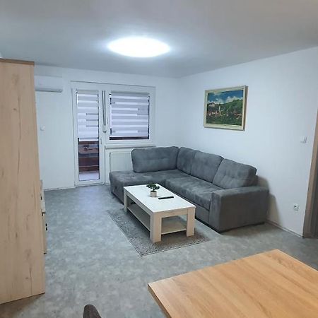 Apartma Sivi Zako Bohinj Εξωτερικό φωτογραφία
